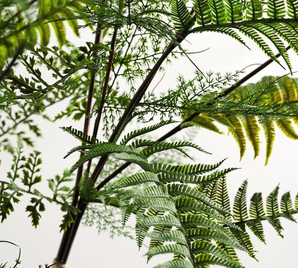 Faux Fern Bundle Pottery Barn Australia